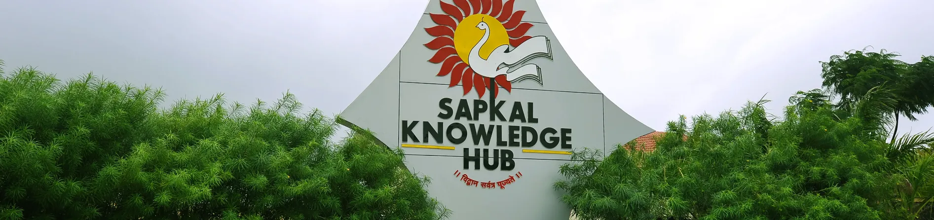 Recruiter interaction and placement coordination at Sapkal Knowledge Hub